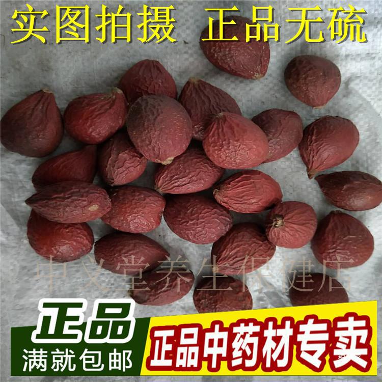 铁树果 铁树籽 凤凰蛋支持药检 苏铁果 铁树子500克 铁树花真货好