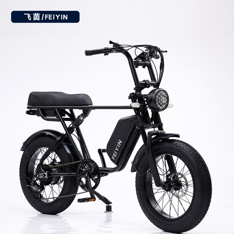 电瓶单车电动车图片