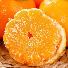 四川粑粑柑丑柑新鲜现摘应季水果丑橘桔子柑桔当季橘子整箱批发厂