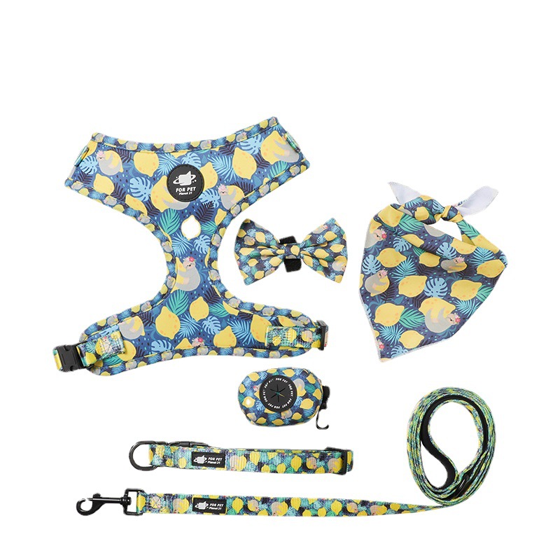 International Station Hot Products Dog Breast Strap Six-Piece Set Adjustable Safety out Dog Leash Amazon