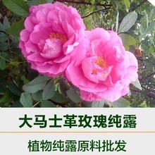 厂家供应大马士革玫瑰纯露批发补水护肤品原料玫瑰花水玫瑰纯露