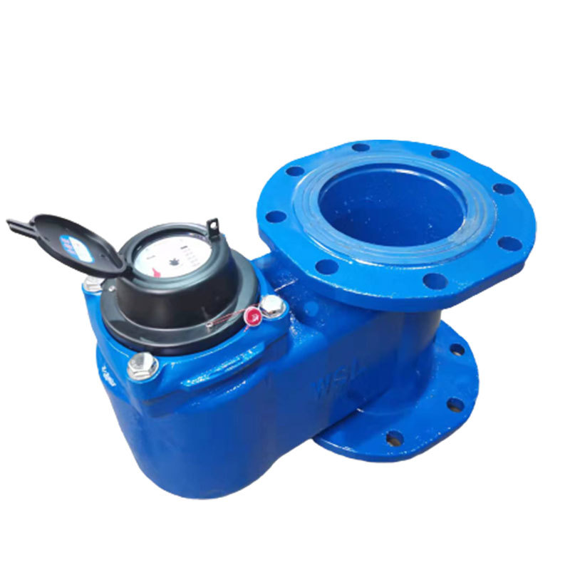 Shuizhiyuan Discount Vertical Industrial Flange Large Diameter Vertical Mechanical Water Meter Lower Inlet and Outlet Flange Vertical Water Meter