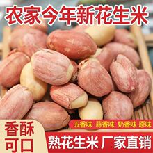 新五香花生米熟250克/1斤/5斤装蒜香花生奶香花生原味下酒菜炒货