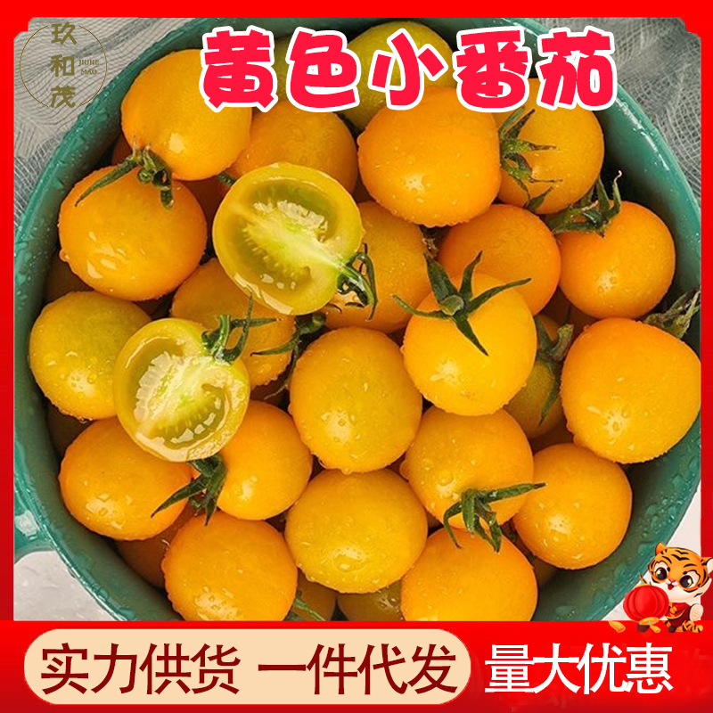 黄金圣女果5斤整箱黄色小番茄夏日阳光樱桃新鲜水果孕妇3小西红柿