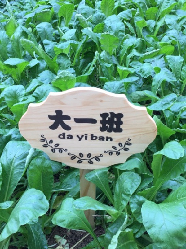 批发木牌子公园菜园菜地木质草地种植区指示牌立式插地牌爱护花草