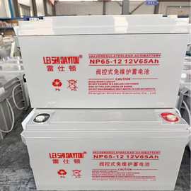 雷仕顿蓄电池12v65AH NP65-12铅酸免维护蓄电池UPS EPS直流屏用