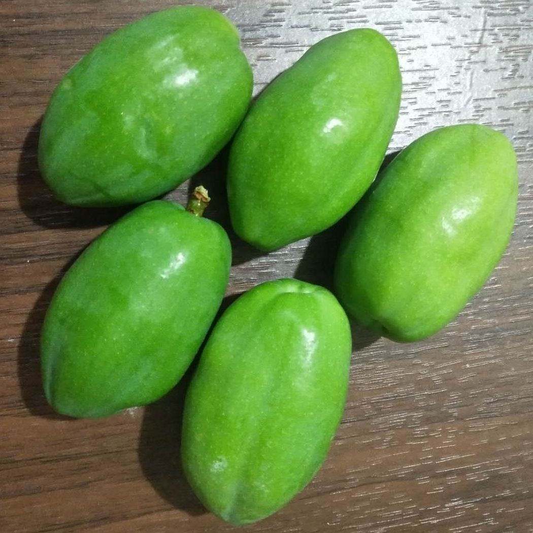 半斤送蘸水新货云南大理新鲜酸木瓜芽小木瓜即食炒肉现摘水果餐饮