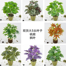 绿色植物花盆景花绿色植物桌面摆件客厅玄关摆设办