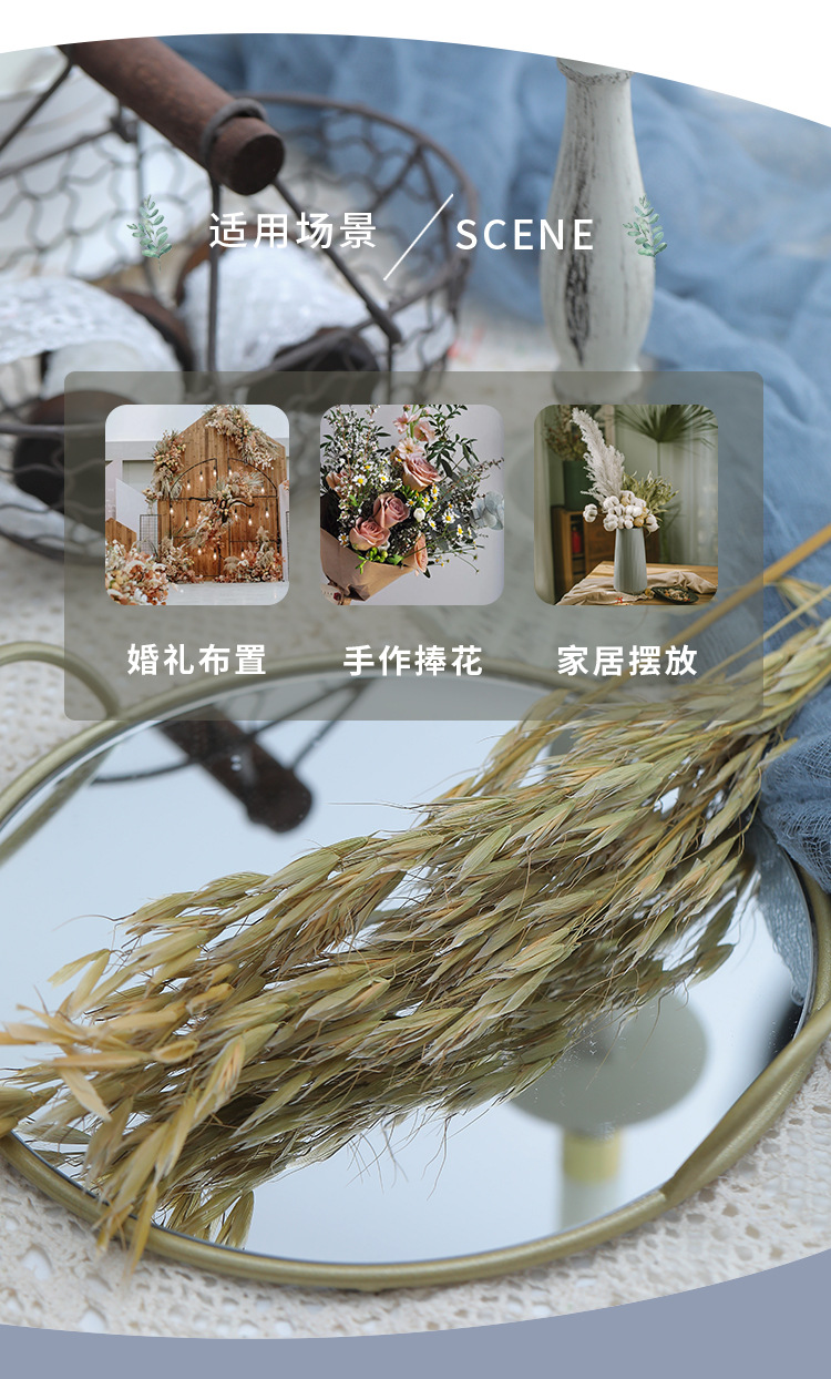 燕麦莜麦 插花搭配diy配材可染花束燕麦永生装饰花干花燕麦 莜麦