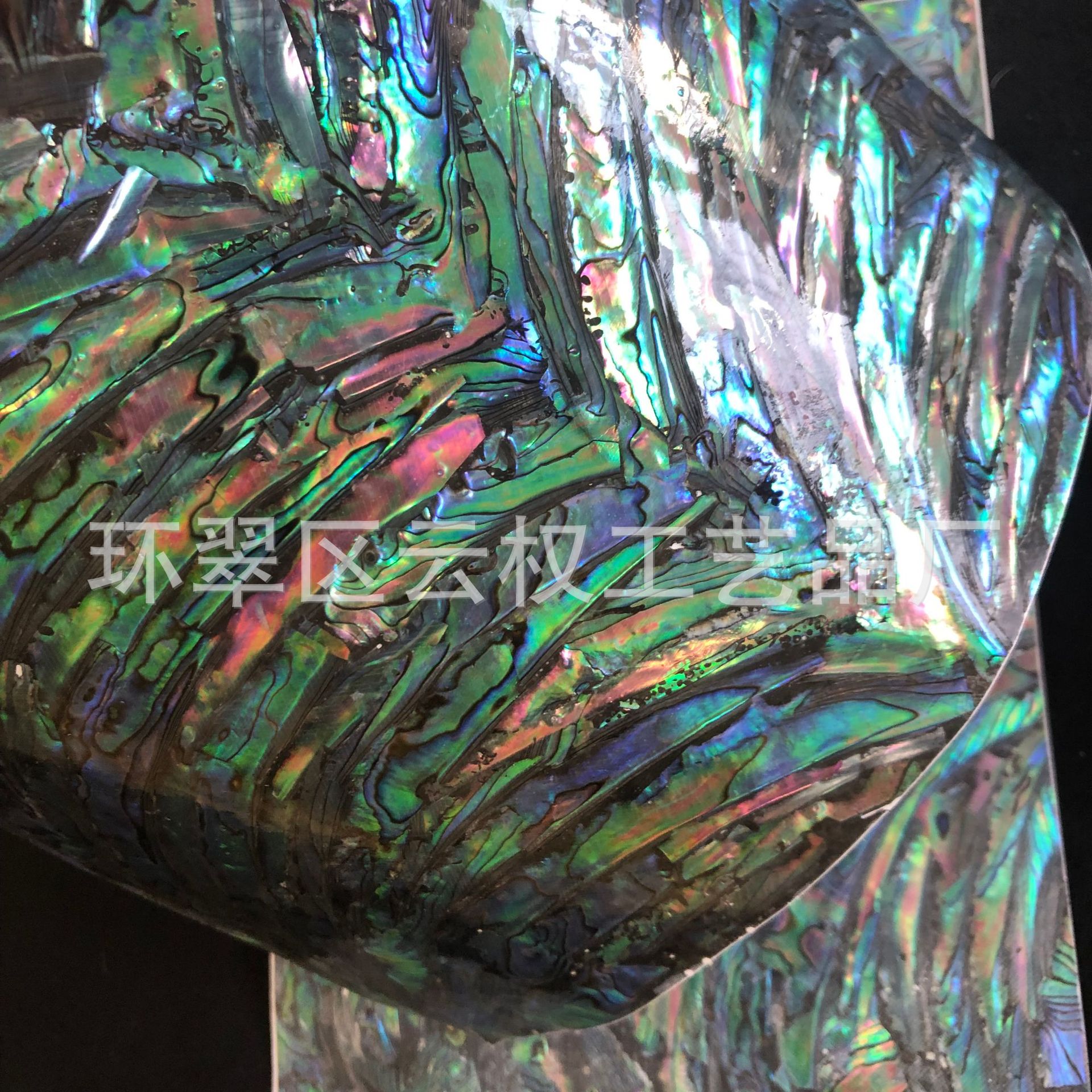 新西兰刀贝背胶贝壳纸 软化可折叠背胶贝壳纸