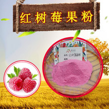 红树莓果粉99%水溶果汁粉藤迈供应现货供样品覆盆子果粉