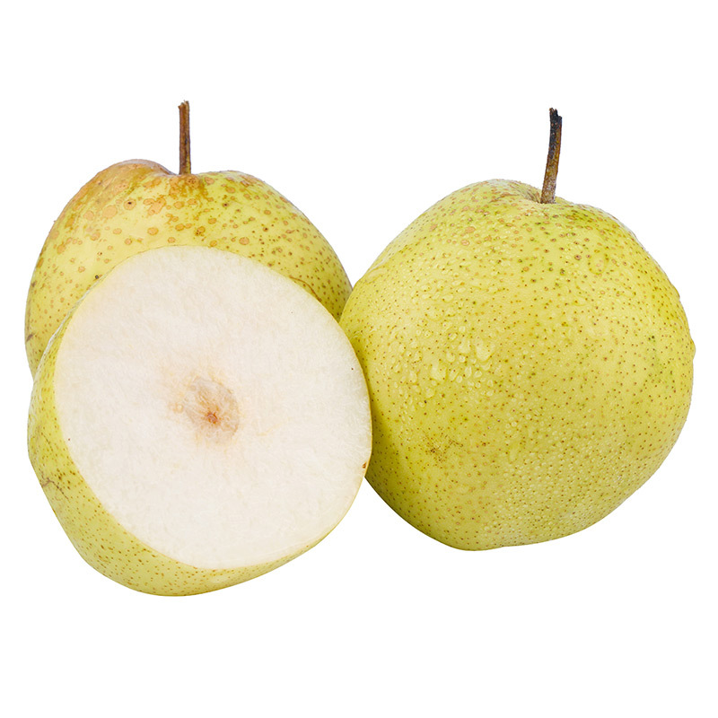 【应季款】雪花梨 河北正宗雪梨 新鲜应季水果梨子冰糖雪梨代发
