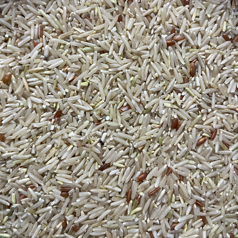 2023新糙米农家自种长粒糙米粗娘胚芽米当季五谷杂粮主食大米5斤