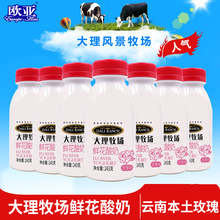 欧亚牛奶大理牧场低温酸奶鲜花酸奶酸牛奶243g*12瓶乳制品