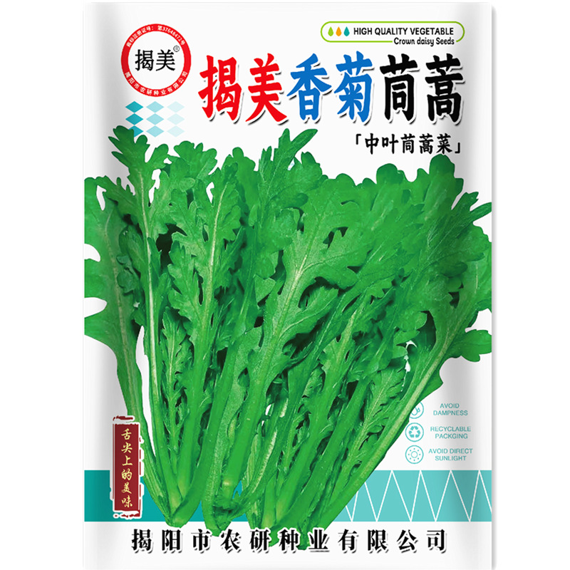 揭美香菊中叶茼蒿种子 中叶皇帝菜种子 阳台农业秋播蔬菜种子10克