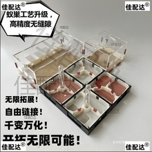 厂家直销开拓者无限拓展蚁巢平面蚁巢亚克力蚁巢3D打印蚁巢宠物蚂