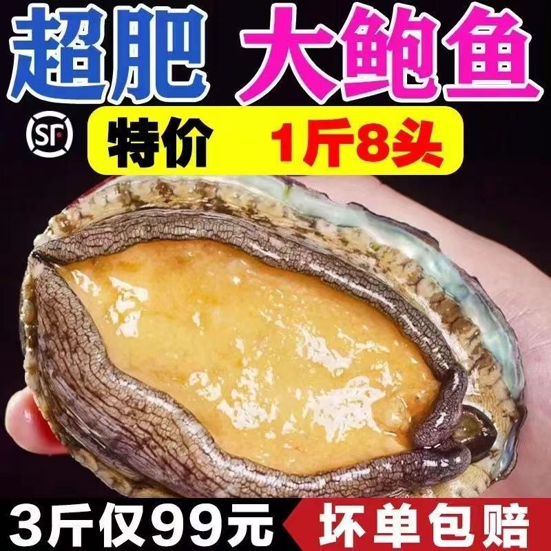 鲍鱼鲜活大新鲜冷冻个大鲜活海捕大野生非干-阿里巴巴