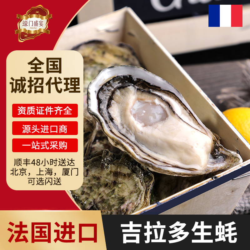 各国进口生蚝批发48只原装吉拉多j生蚝 鲜活刺身即食餐饮商用生蚝
