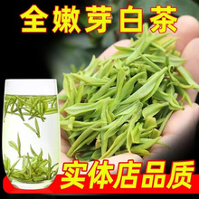 首单立减特级5A嫩芽白茶绿茶2023新茶明前春茶高山茶叶批发浓香型