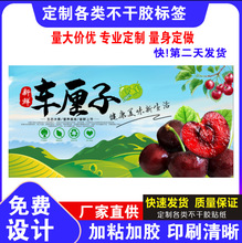 免费定制大樱桃果蔬包装标签车厘子设计各类水果榴莲杨梅封口贴印