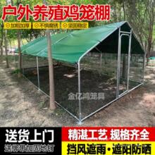 鸡笼室外家用户外大号养殖笼鸡棚搭建家禽鸭鹅兔鸽子笼鸡舍遮雨棚