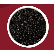 紫米22年新米五常黑米5斤东北米五谷杂粮黑米粥无染色黑米批发斤