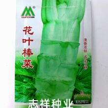 南峰花叶棒菜种子 薄皮棒菜芥菜种子 四川特产棒菜耐寒5克