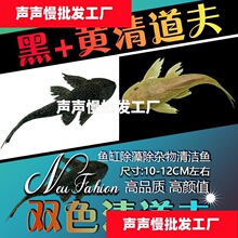 清道夫鱼金苔鼠鱼吃粪便垃圾除藻鱼观赏鱼热带清洁包邮工具鱼