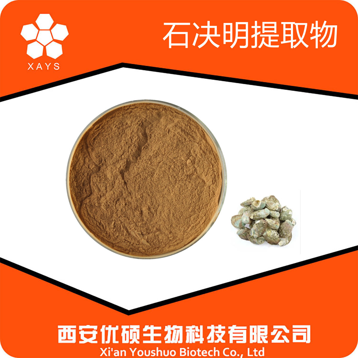 石决明提取物10:1 石决明粉 比例粗提 鲍鱼壳提取物 石决明萃取物