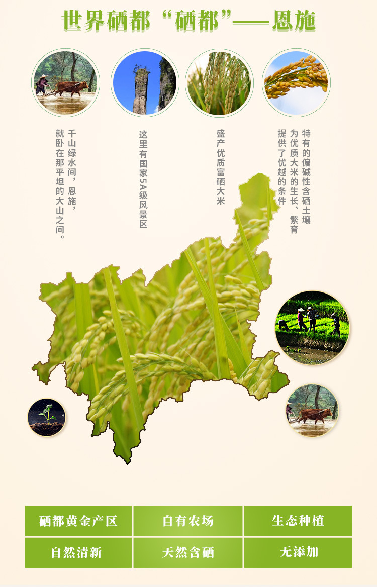西萃御品湖北恩施富硒大米新米5kg/袋10斤装现货一件代