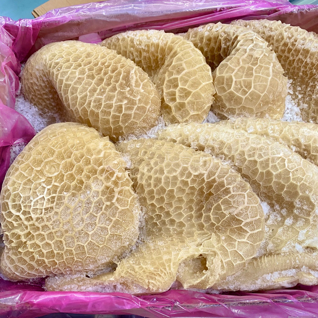 速冻金钱肚牛大肚蜂窝肚碱发全熟40斤/件8个涮锅炒菜商用批发牛肚