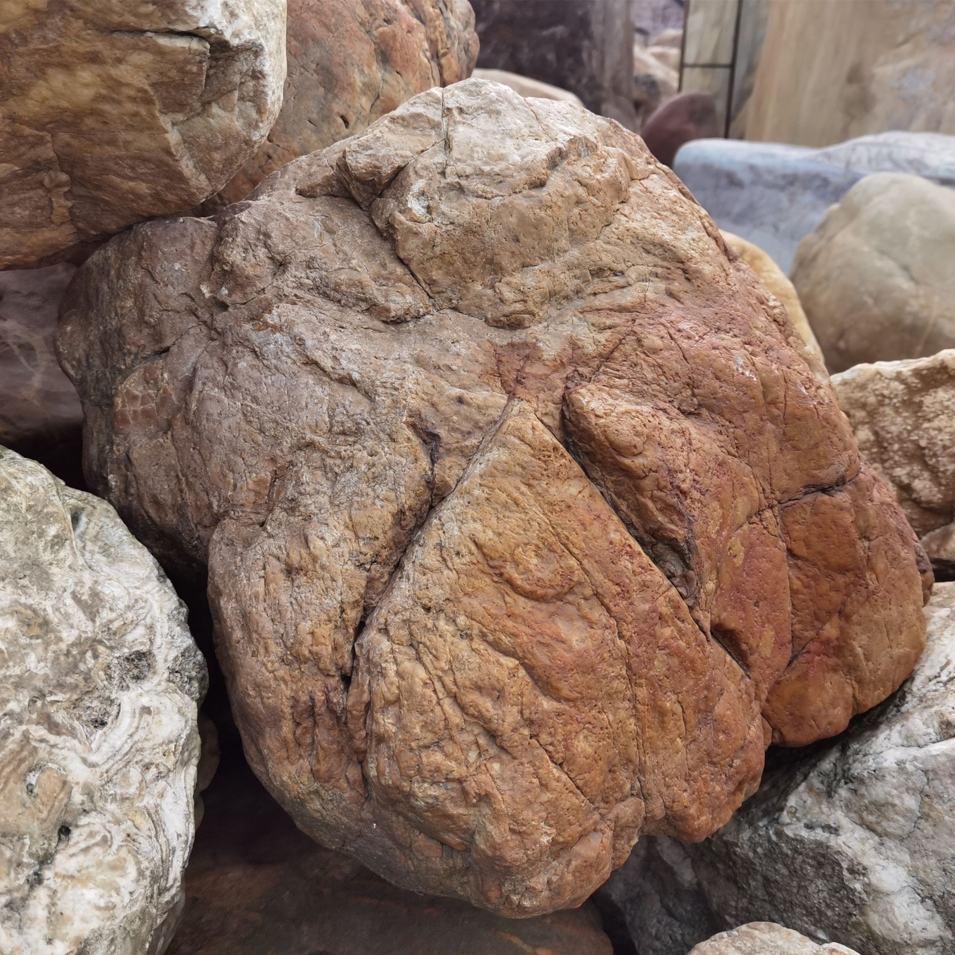 广东景石黄色水冲蜡石形态皱褶自然厂家直供庭院造景石头