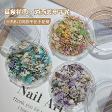 日式ins风美甲干花莫奈花园油画配色小花碎花混合diy材料指甲饰品