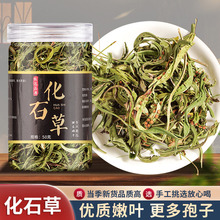 化石草源头厂家肾精茶泡水结石草花草茶猫须草代用茶量大批发代发