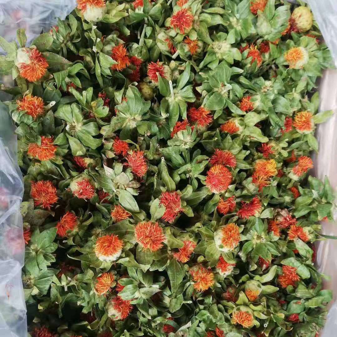 散装云南草红花朵批发跑江湖地摊展销会货源农产品新货红花果橙菠