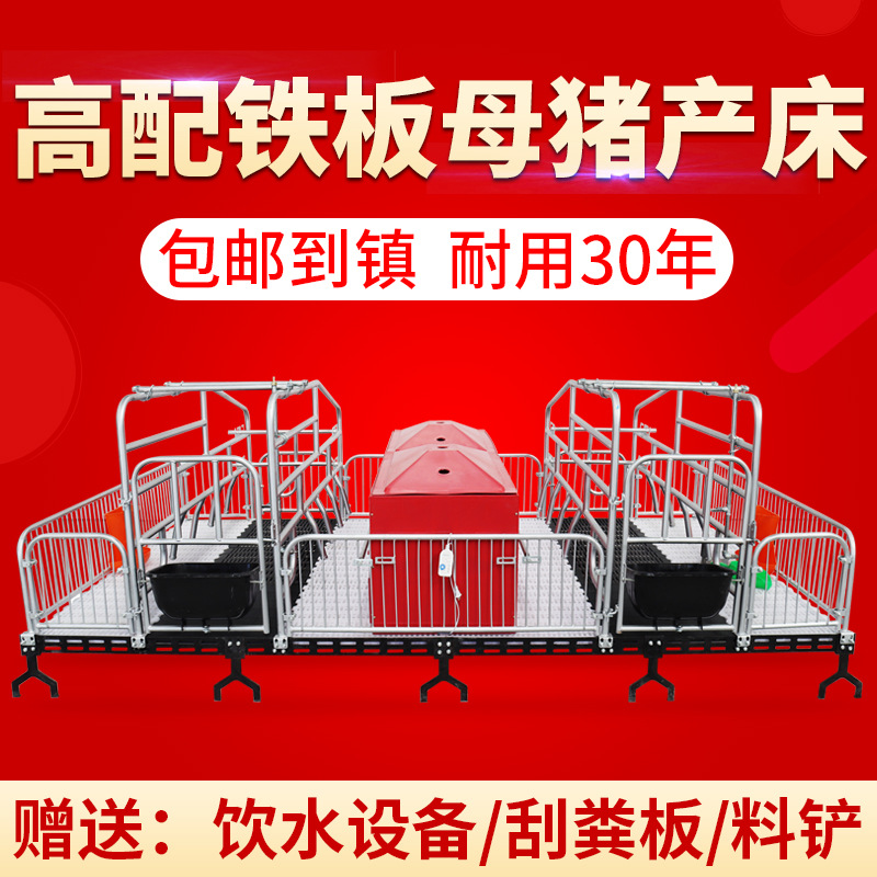 母猪产床加厚2.5单双体猪产床产保一体床定限位栏保育床养殖设备