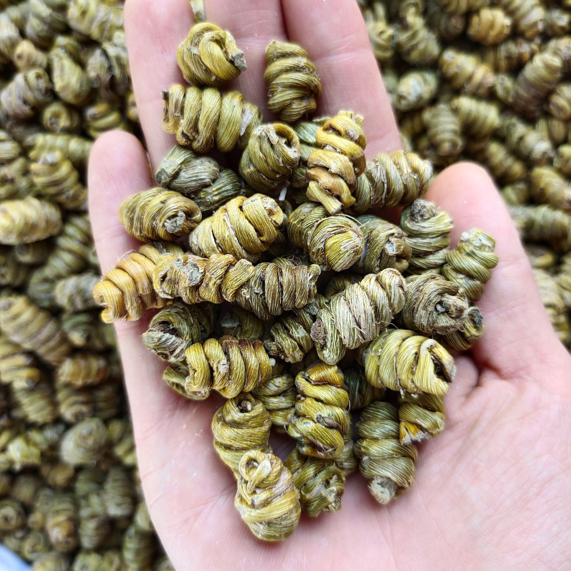 现货批发安徽霍山铁皮石斛 米斛 龙头凤尾胶质多无残渣规格齐全