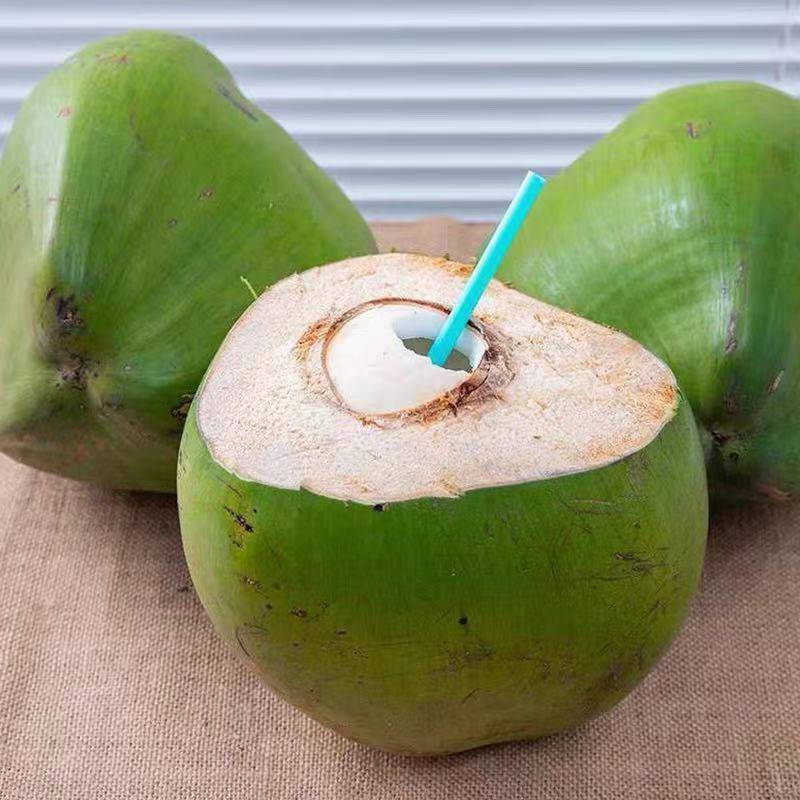 海南三亚包邮特产新鲜带皮椰子椰青青椰子汁椰子水孕妇健康水果鲜