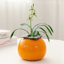 大吉大利桌面装饰容器摆件创意橘子花瓶陶瓷水培花盆绿萝水养植物