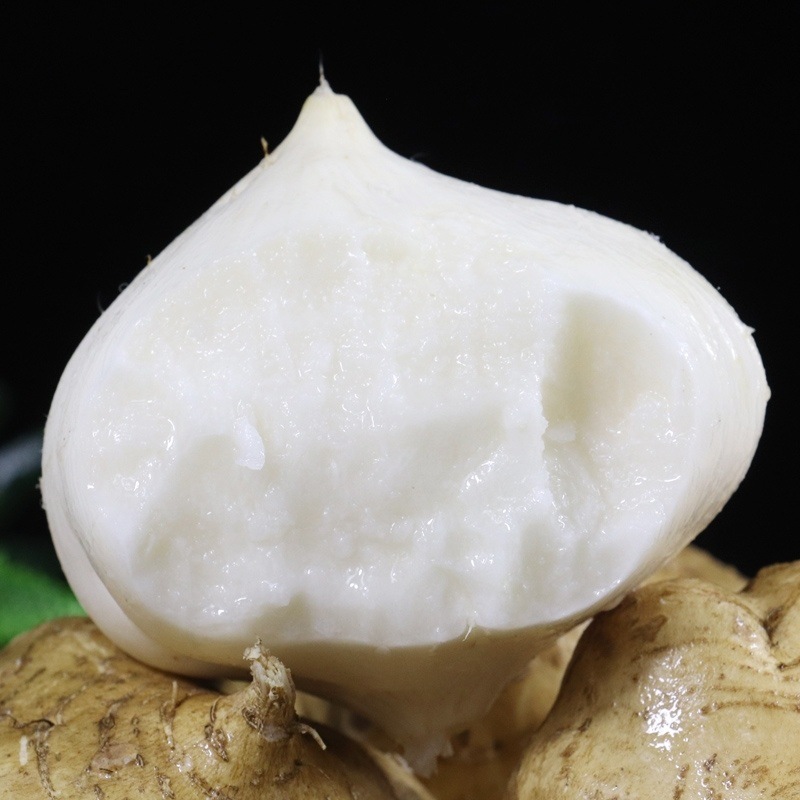现挖凉薯新鲜白地瓜地萝卜四川农家特产蔬菜新鲜水果白薯番薯土瓜