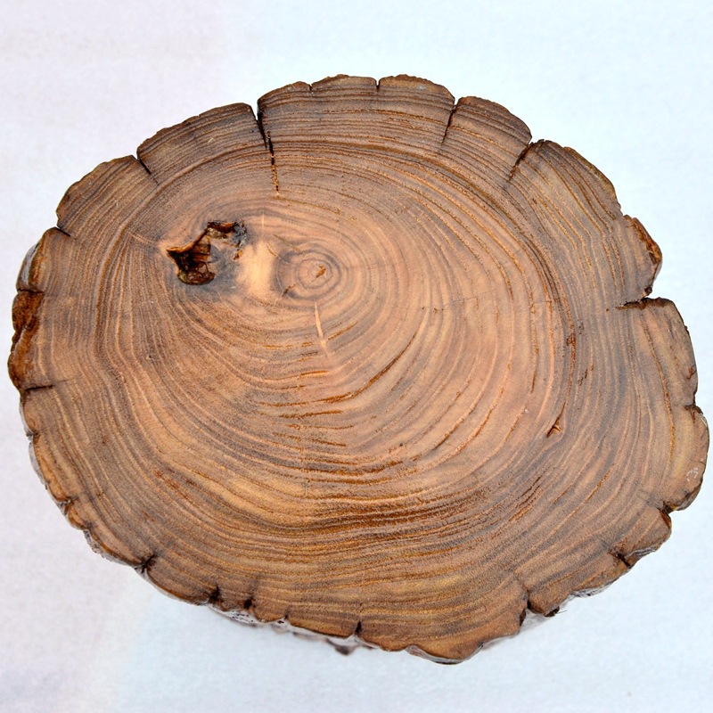 实木树桩墩子原木凳子根雕花架天然小圆木墩边几茶几桌凳老木头墩