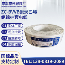 ZC-BVVB聚录乙烯绝缘护套阻燃电线铜护套工厂价批发厂家支持定制
