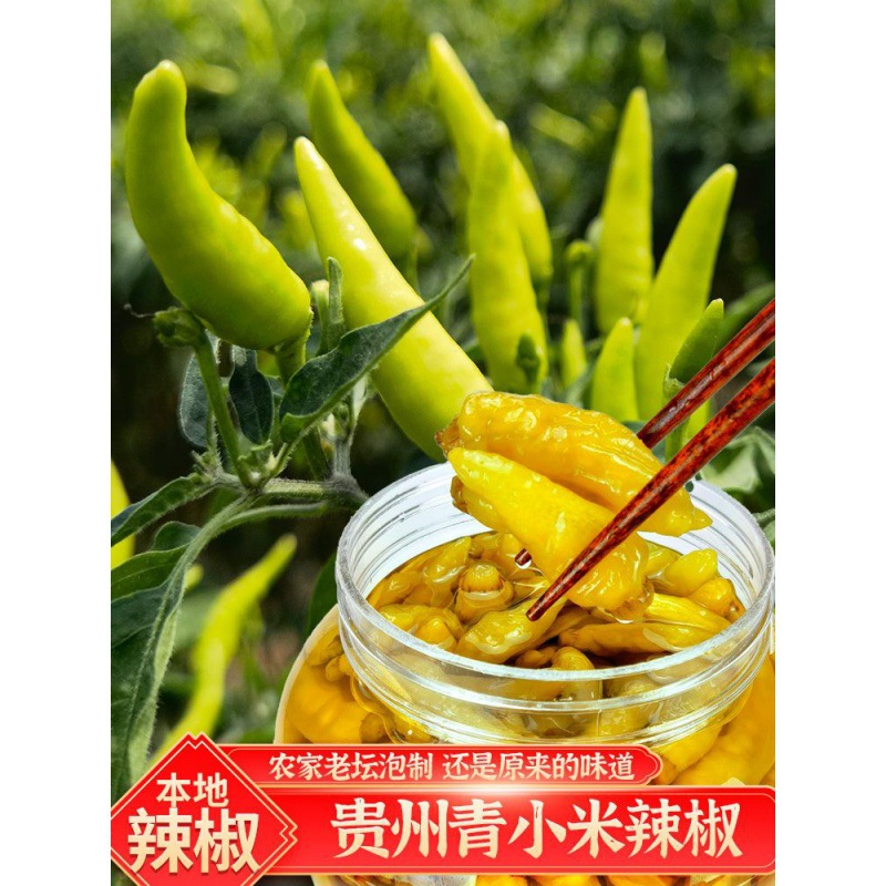 野山椒三斤瓶装新鲜超酸辣小米辣泡椒即食贵州四川小罐头商用批发