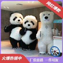 气模充气熊猫卡通人偶服装抖音同款服饰行走宣传活动北极熊玩偶服