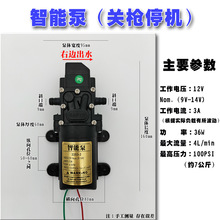 厂家供应12V隔膜泵智能压力泵3000转高压力电动喷雾器水泵双核泵