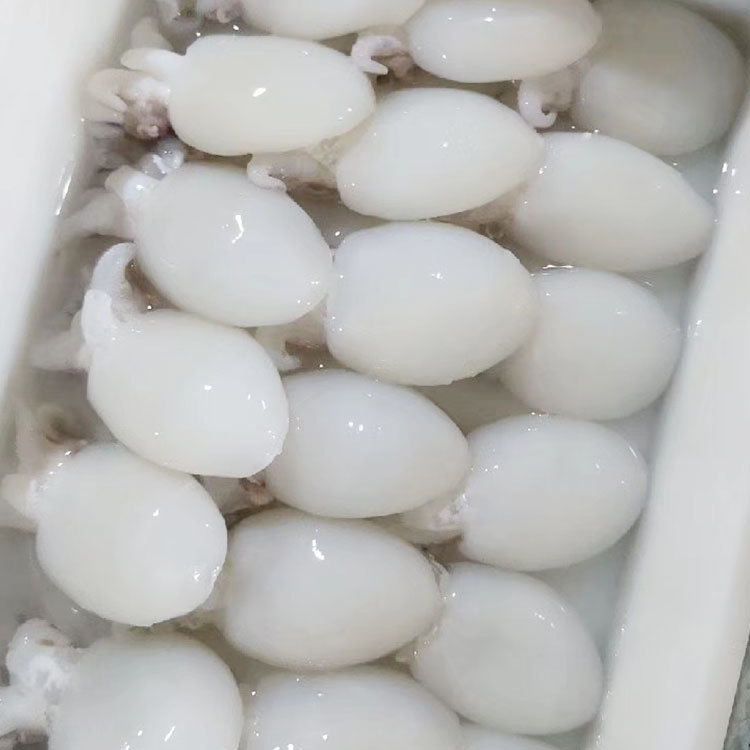 【厂家批发】墨鱼仔1斤装不缩水火锅墨鱼仔冷冻目鱼仔小乌贼