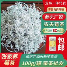 【张家界莓茶100g/罐】张家界源头基地直供 正规SC莓茶厂家批发