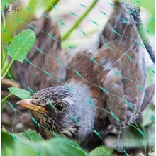 Bird net防鸟网花园保护网聚乙烯pe挤出网庭院植物水果树拦鸟类网