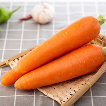 河南胡萝卜 代发3斤农家自种新生吃脆甜红萝卜新鲜蔬菜非青萝卜