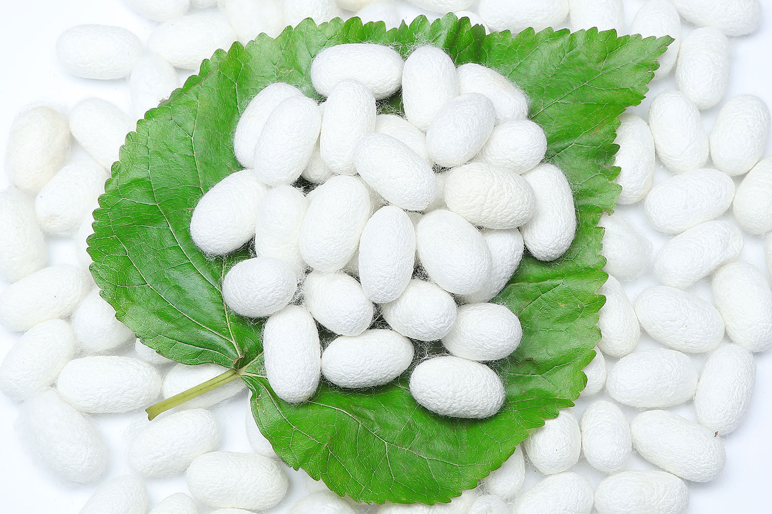 启梦丝绸 宽幅16姆米 素绉缎丝绸面料 白坯桑蚕丝面料现货批发